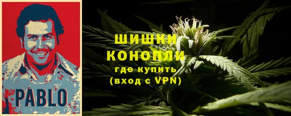 мяу мяу мука Вяземский