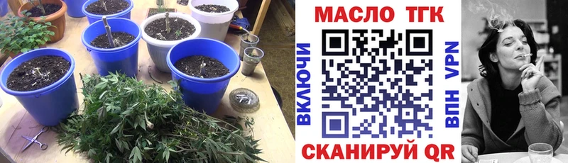 где продают наркотики  Железногорск-Илимский  Дистиллят ТГК гашишное масло 