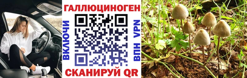 Галлюциногенные грибы мицелий  цена наркотик  Железногорск-Илимский 